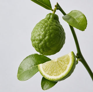 Bergamot